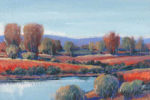 Hidden Creek I Poster Print - Tim OToole