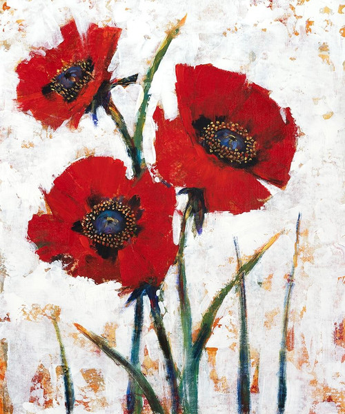 Red Poppy Fresco I Poster Print - Tim OToole