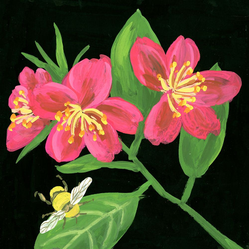 Spring Bees II Poster Print - Melissa Wang