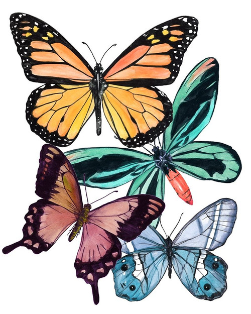 Butterfly Swatches I Poster Print - Melissa Wang