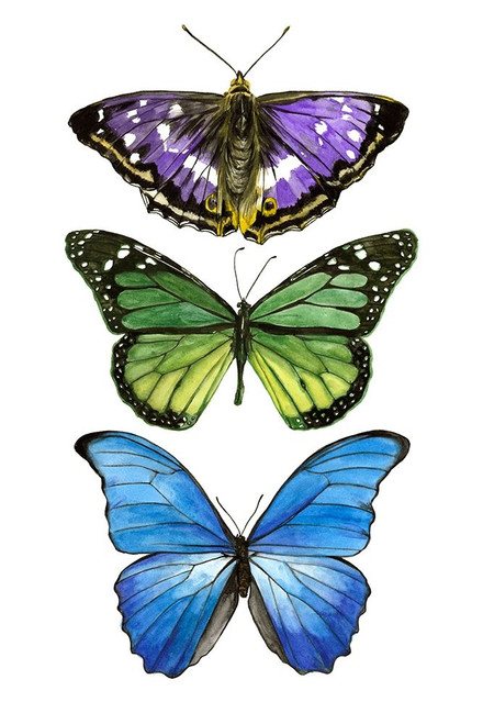 Falling From I Poster Print - Melissa Wang