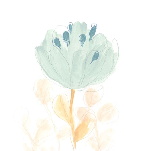 Petite Petals V Poster Print - June Erica Vess