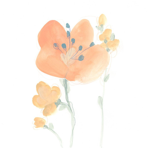 Petite Petals VI Poster Print - June Erica Vess