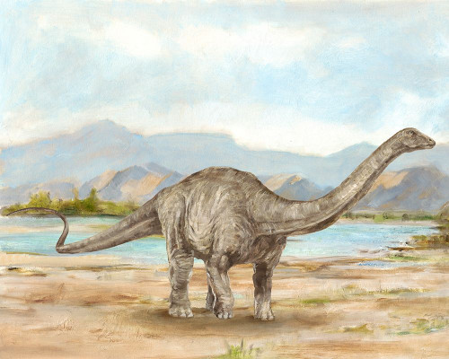 Dinosaur Illustration V Poster Print - Ethan Harper