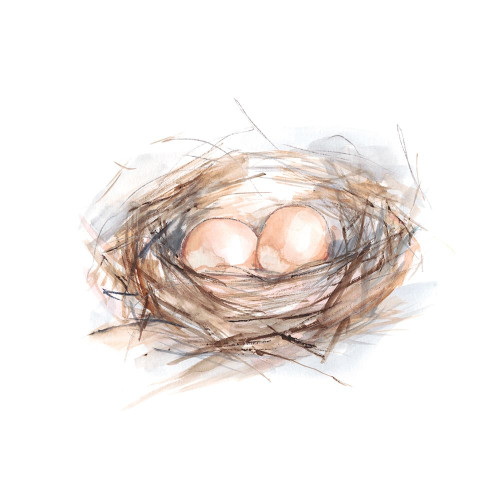 Bird Life IV Poster Print - Ethan Harper