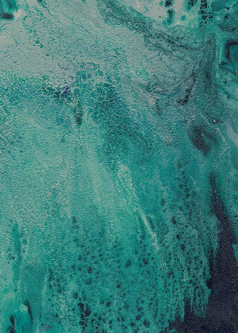 Innate Sense I Poster Print - Regina Moore