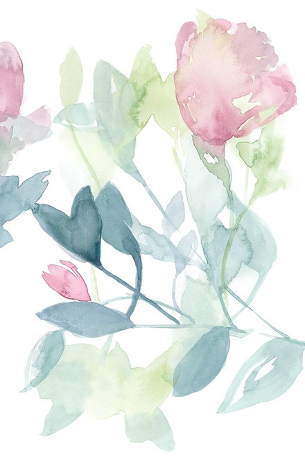 Peony in Light II Poster Print - Jennifer Goldberger