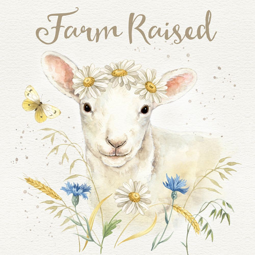 Nostalgic Farm V Poster Print - Jane Maday