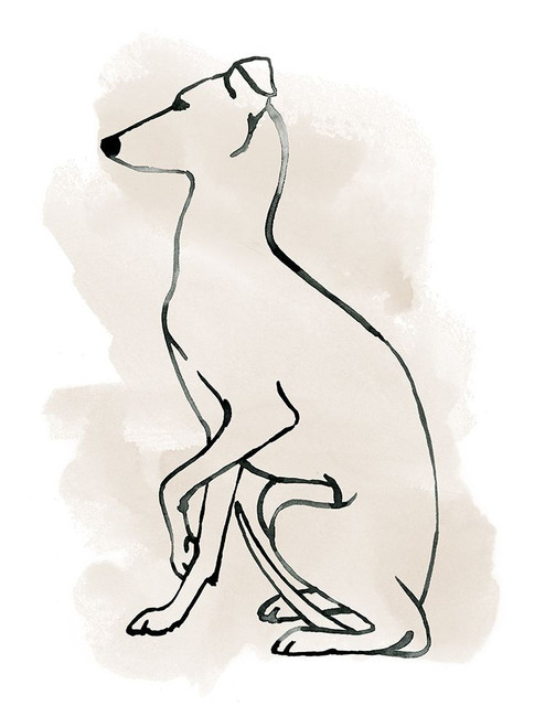 Greyhound Sketch II Poster Print - Grace Popp