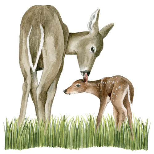 Woodland Babes II Poster Print - Grace Popp