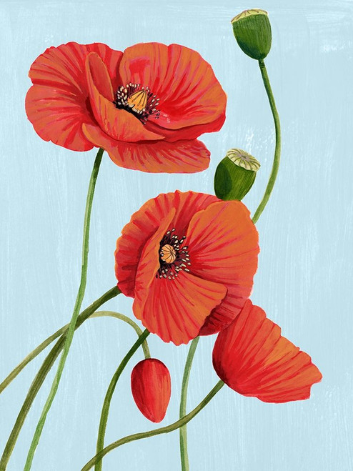 Poppy Topple I Poster Print - Grace Popp