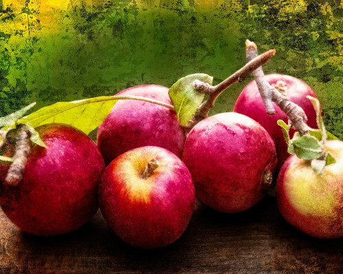 The Harvest I Poster Print - Rachel Perry