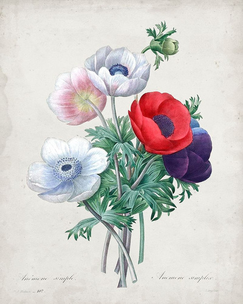 Redoute Bouquet II Poster Print - Pierre Redoute