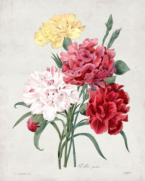Redoute Bouquet I Poster Print - Pierre Redoute