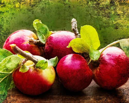 The Harvest II Poster Print - Rachel Perry