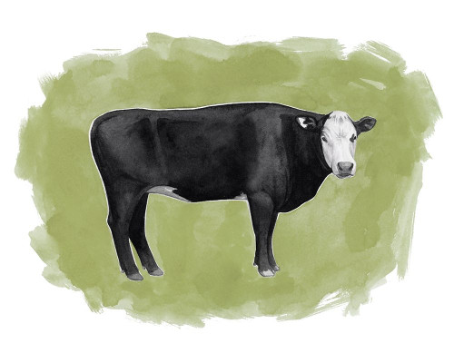 Hereford Graze I Poster Print - Grace Popp
