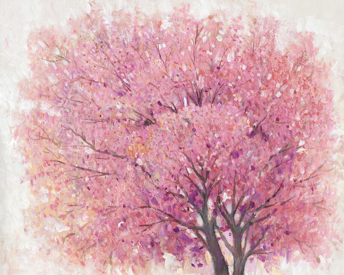 Pink Cherry Blossom Tree II Poster Print - Tim OToole