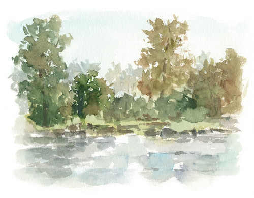 Wooded Stream I Poster Print - Ethan Harper