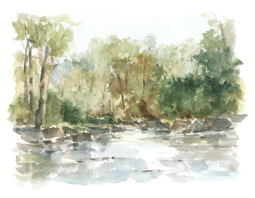 Wooded Stream II Poster Print - Ethan Harper