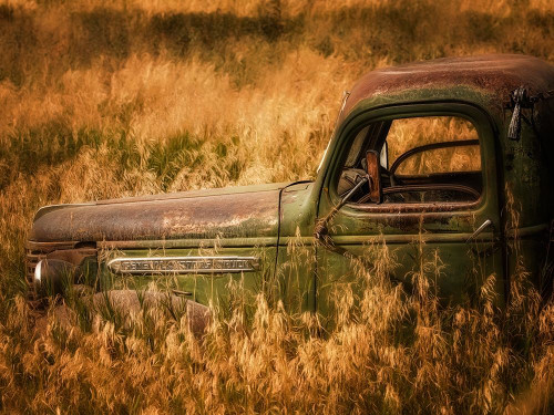 Farm and Field V Poster Print - PHBurchett