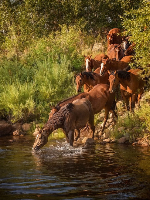 River Horses I Poster Print - PHBurchett