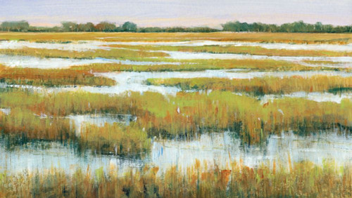 Serene Marshland II Poster Print - Tim OToole