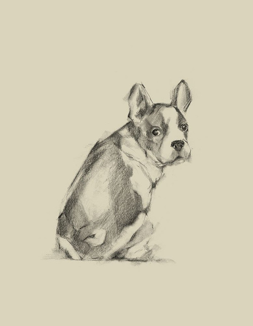 Puppy Dog Eyes IV Poster Print - Ethan Harper