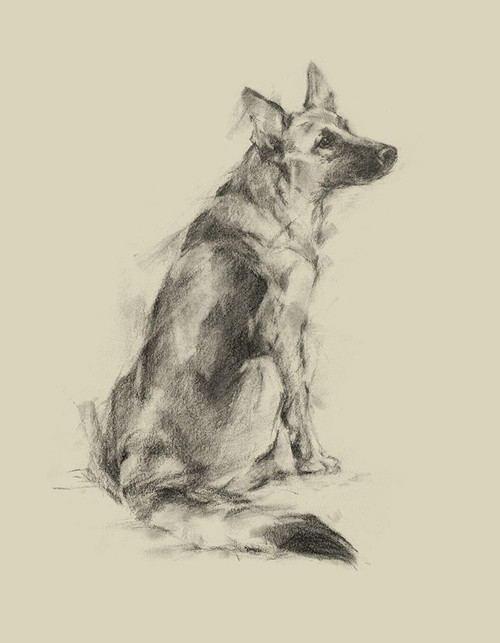 Puppy Dog Eyes V Poster Print - Ethan Harper