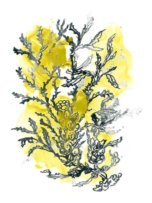 Citron Sea Kelp II Poster Print - June Erica Vess