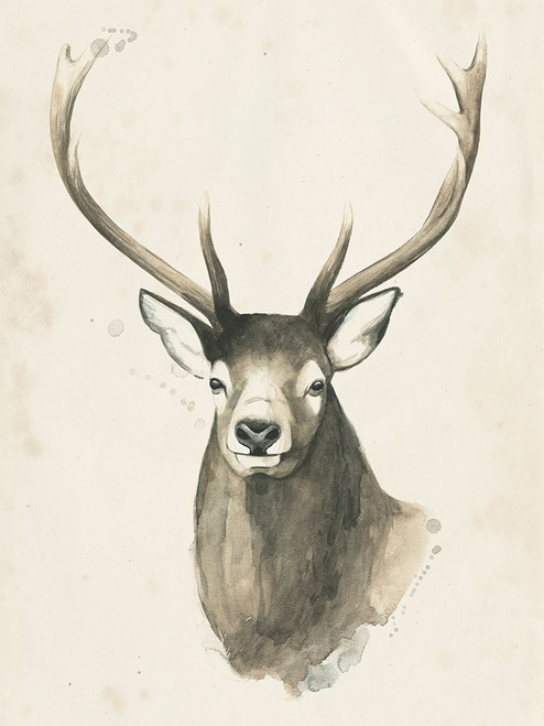 Watchful Woods IV Poster Print - Grace Popp