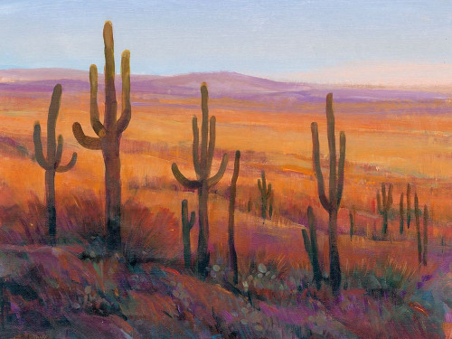 Desert Light I Poster Print - Tim OToole