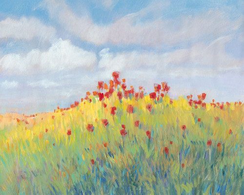 Summer Breeze Meadow II Poster Print - Tim OToole