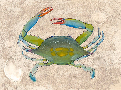 Crabulous I Poster Print - Alicia Ludwig