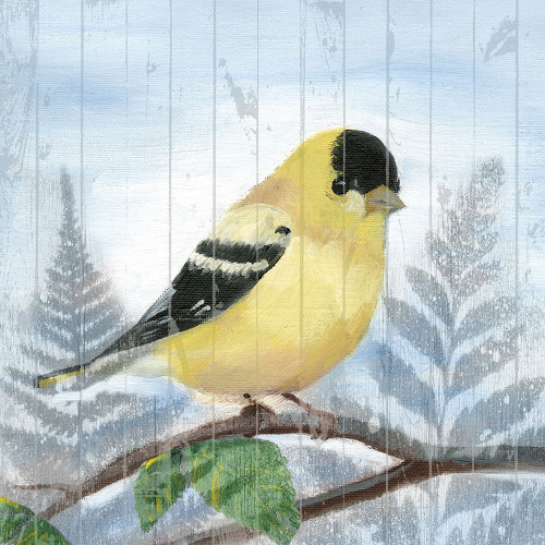 Eastern Songbird III Poster Print - Alicia Ludwig