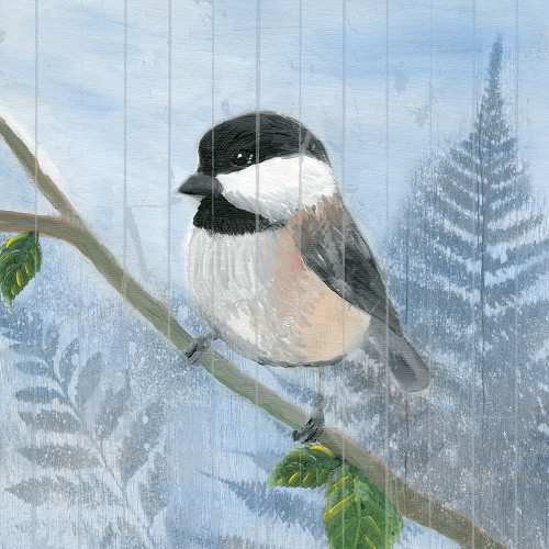 Eastern Songbird II Poster Print - Alicia Ludwig