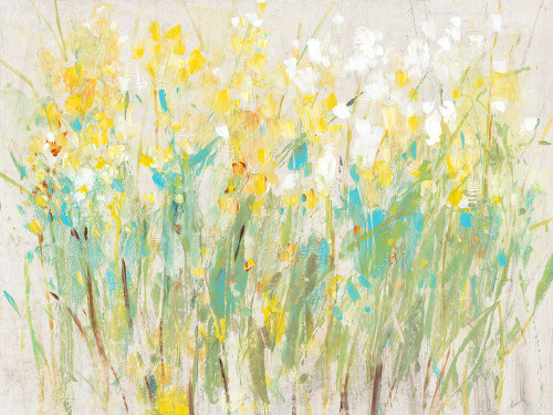 Floral Cluster II Poster Print - Tim OToole