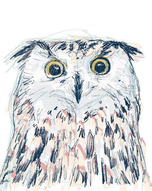Funky Owl Portrait II Poster Print - June Erica Vess