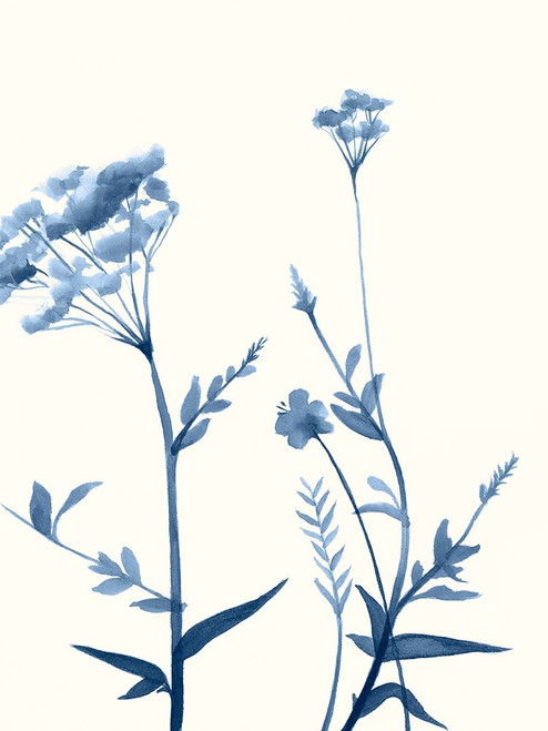 Indigo Wildflowers I Poster Print - Jennifer Goldberger