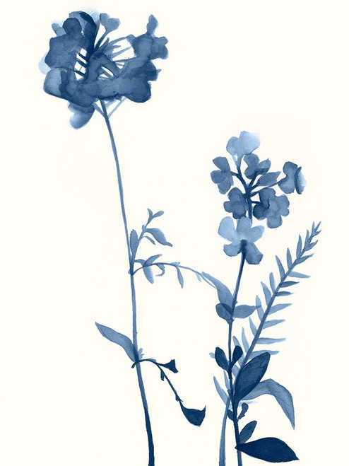 Indigo Wildflowers V Poster Print - Jennifer Goldberger