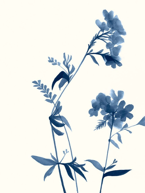 Indigo Wildflowers II Poster Print - Jennifer Goldberger