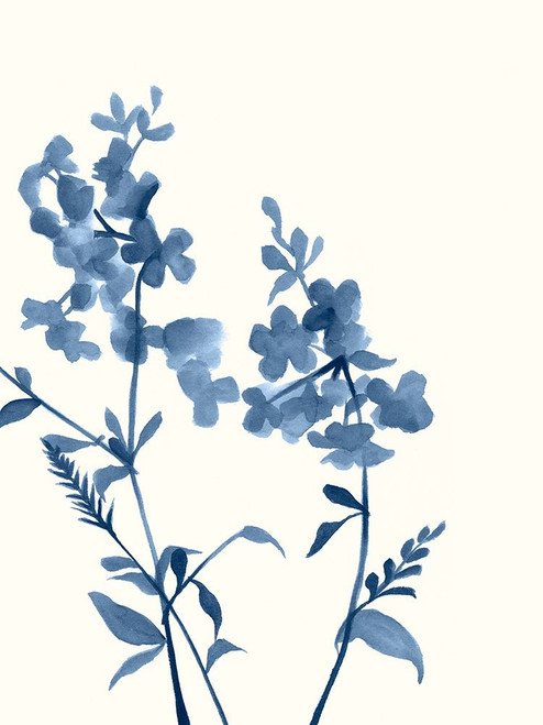 Indigo Wildflowers IV Poster Print - Jennifer Goldberger