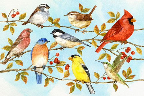 Birds and Berries V Poster Print - Jane Maday