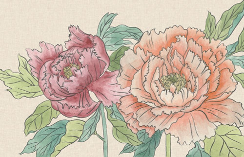 Peony Blooms IV Poster Print - Melissa Wang