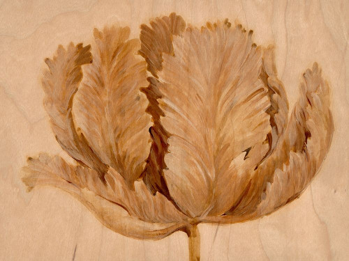 Sepia Tulip on Birch II Poster Print - Tim OToole