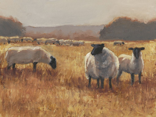 Grazing at Sunset II Poster Print - Ethan Harper