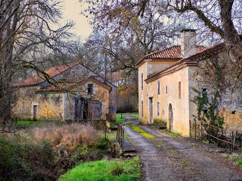 Pastoral Countryside XII Poster Print - Colby Chester