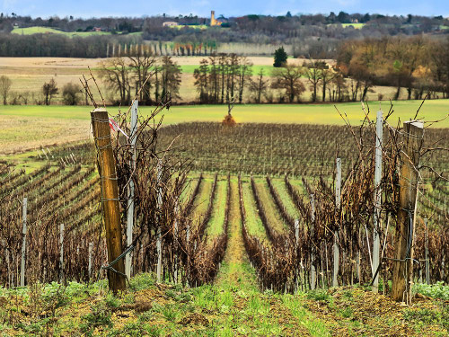 Pastoral Countryside XVI Poster Print - Colby Chester