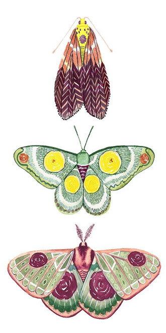 Moth Fairies I Poster Print - Grace Popp