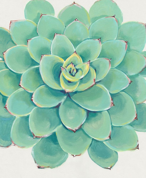 Pastel Succulent III Poster Print - Tim OToole