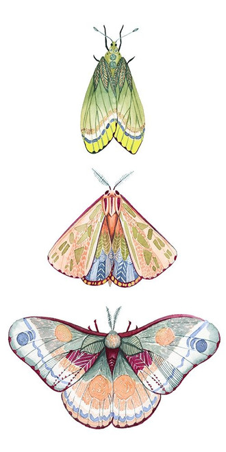 Moth Fairies II Poster Print - Grace Popp